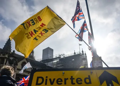 Getty Images Flags and protests at Westminster