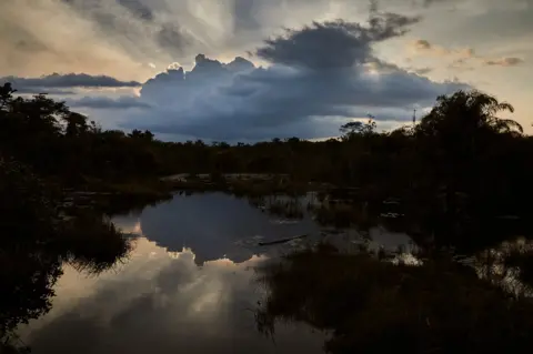 Hugh Kinsella Cunningham Swamps in Bong County, Liberia.