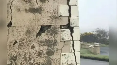 The Bigger Picture Project mica affected home