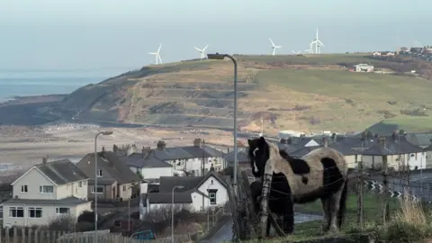 Getty Images Whitehaven