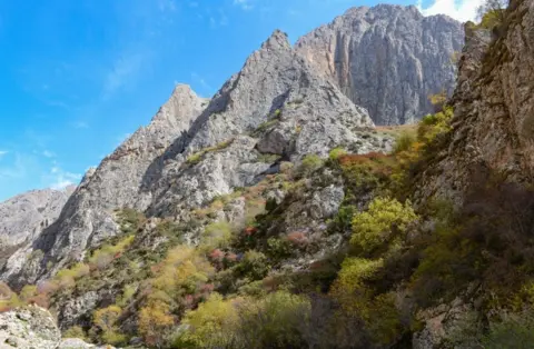 Dongju Zhang, Lanzhou University The autumn view of Jiangla River Valley, where Baishiya Karst Cave is located