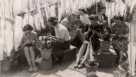 Aberystwyth University Workers in 1946