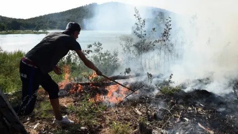 AFP A man tries to extinguish a fire burning in Bormes-les-Mimosas, south-eastern France, on July 26, 2017