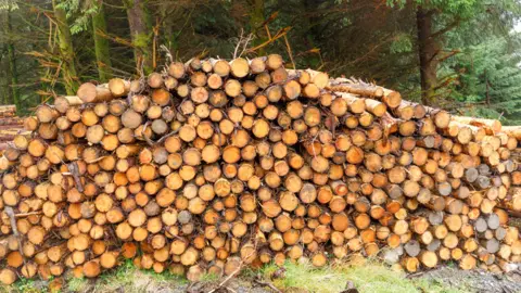 Andrew Newark/Getty Images Timber