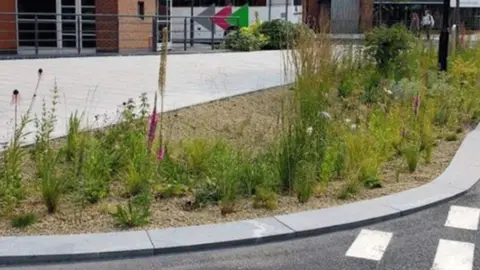 Severn Trent Water Rain garden