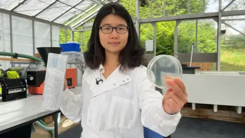 BBC Dr Helen Liang holds up a petri dish