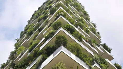 Sandwell council planning portal King's Cinema redevelopment in West Bromwich