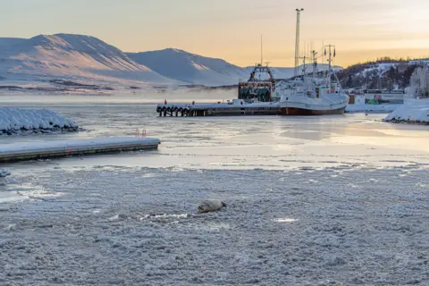 Lilja Guðmundsdóttir Snowy landscape