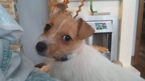 Adrian Pater Mela before the theft