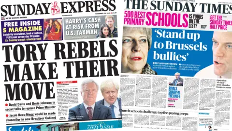 Sunday Express and the Sunday Times