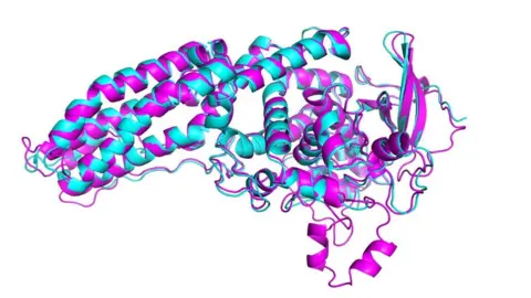 Casp/DeepMind/VTagliabracciDTomchick,UT SouthWeste A DeepMind model of a protein from the Legionnaire's disease bacteria (Casp-14)