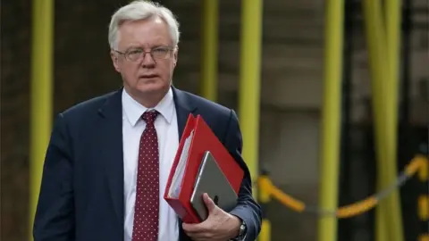 AFP Brexit Secretary David Davis