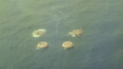 The bottom of four pontoons floating on the surface of the sea