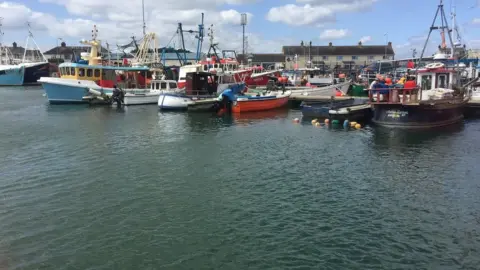 Boats at Portavogie Harbour