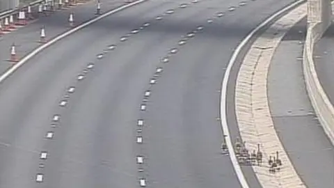 Highways England Geese on A1