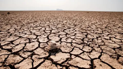 Getty Images Dried-up lake bed