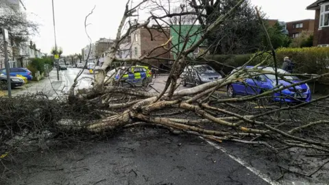 Twitter/@alan_s01/PA Wire Across southern England, trees - like this one in Golders Green, London - were brought down by the storm