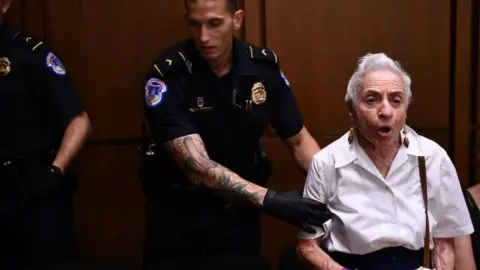 Getty Images At least 20 protesters were removed from the hearing room