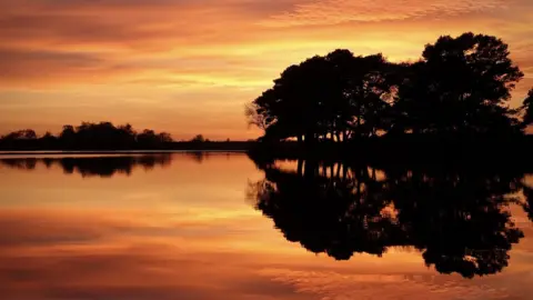 Deborah Stafford  THURSDAY - Hatchet Pond, New Forest.