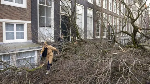 EPA A woman steps through the branches of a fallen tree in Amsterdam