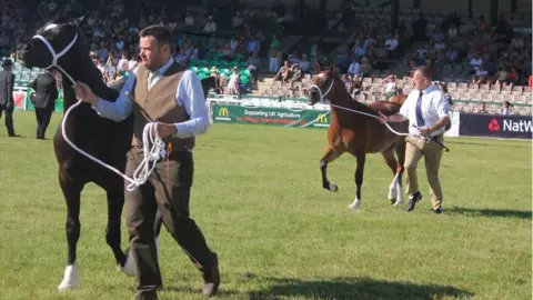 The Royal Welsh Show