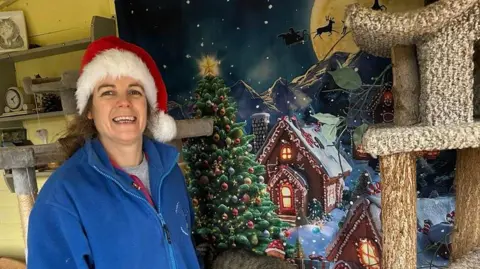 A woman with brown hair, a santa hat and a blue fleece standing in a room with cat toys and a cat climbing frame and a picture of a snowy Christmassy scene on the wall