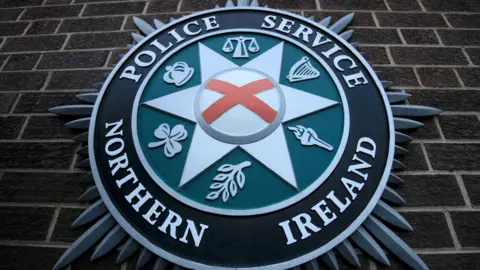 The PSNI emblem on a brick wall. Their logo consists of St Patrick's saltire in the centre, a star surrounded by a torch, scales, a harp, a shamrock, a leaf and a crown. 