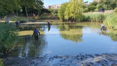 East Blatchingtond Pond Conservation Society A group of people in a pond with low water levels.