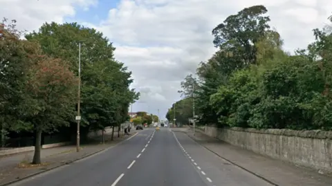A residential street bordered by tall, leafy trees on both sides. Street lights are dotted along an empty road
