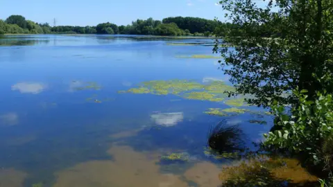 Ruth Sharville/Geograph A large lake with algae on it, trees all around and a pylon in the distance.