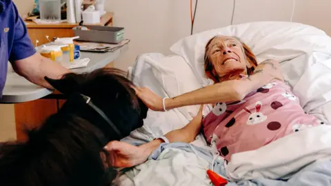 EKR Pictures Ms Greveson in a hospice bed, petting a pony at her bedside.