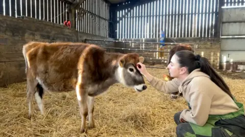 A woman kneeling down eye level with a cow whilst she strokes it head in a barn.