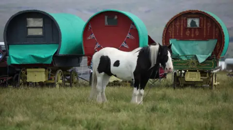 A white and black horse with long straight mane stands in front of three traditional Romany caravans during the annual horse fair in Appleby-in-Westmorland, Cumbria. The caravans are circular and wooden, sitting above traditional wagon wheels. They and the horse - which is side-on and facing to the right of the image - are in a field of longish grass, while out of focus in the background rocky hills rise up.