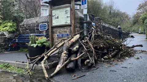 Logs cleared from Town Beck at The Gill in Cumbria. Trees in background and grey skies. 