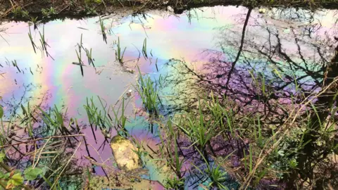 Fuel in water in Maple Cross, Hertfordshire