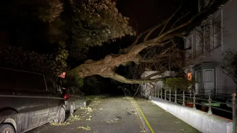 A picture of a fallen tree taken during nighttime. The sky is black. There are two parked cars to the left. On the right are houses. The tree is fallen over the road. 