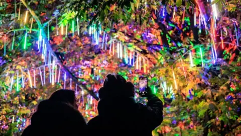 Blenheim Palace Two people stand with their backs to the camera - one holds a phone up to take a picture of a multi-coloured light display in trees.