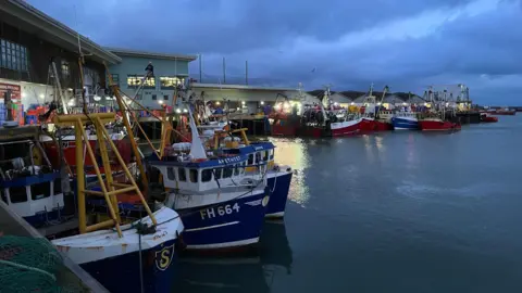 Fishing boats docked in a harbour. The vessels are dotted around the still water. It is getting dark and the habour is being lit up by lights from the boats. 
