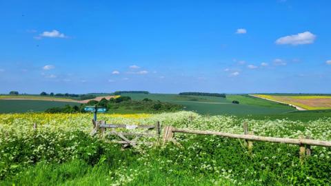 THURSDAY - A view over green fields at West Illsley, West Berkshire, with white flowers and a dilapidated wooden fence and gate in the foreground