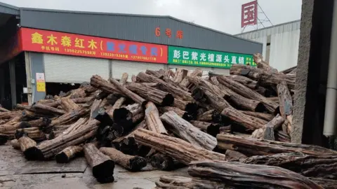 Environmental Investigation Agency Rosewood logs in Shanghai