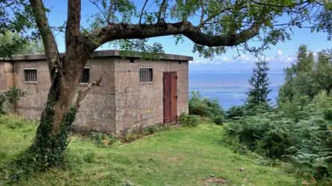 A small one-story brick building with metal door on grass with a tree in the foreground and plants on the side