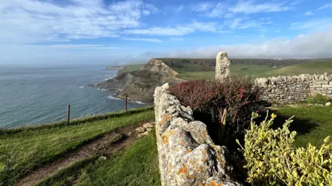 Dee Cee In the foreground is an old stone wall. Further in the distance are coastal cliffs, with the sea beyond.