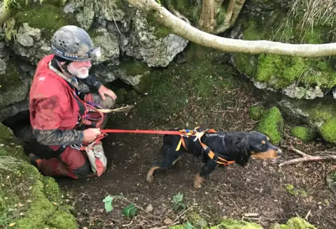 North Wales Cave Rescue Organisation the dog after being rescued 