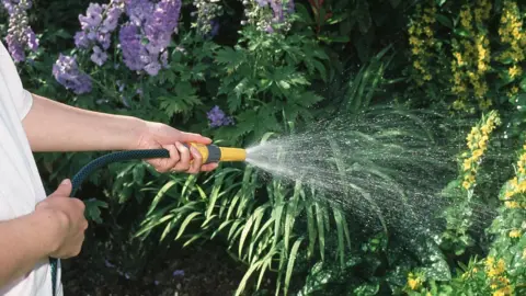 A person wearing a white t-shirt using a hosepipe to water plants in a garden.