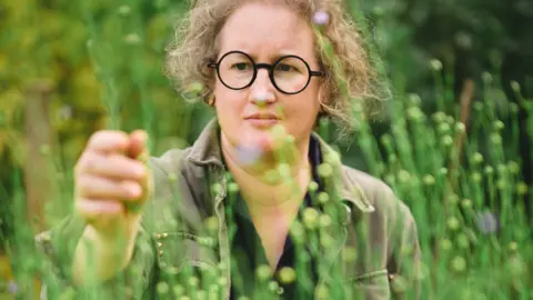Carolyn Mendelsohn A woman wearing glasses walking through a crop of flax which is head-height