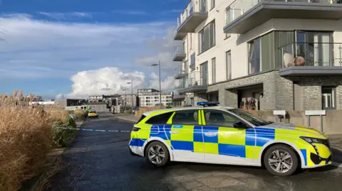 A police vehicle parked on a road. A police cordon is in police. Other police vehicles can be seen further in the distance. Residential properties are built around the road. The sky is blue.