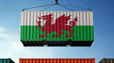 A trade cargo container, with a Welsh flag painted across the whole side of it, hanging against clouds in the background.