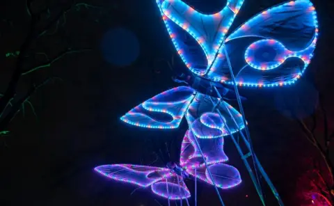 Emergency Exit Arts Lights showing a butterfly effect. They are mainly blue at the top, with a butterfly effect at the bottom being largely purple. 