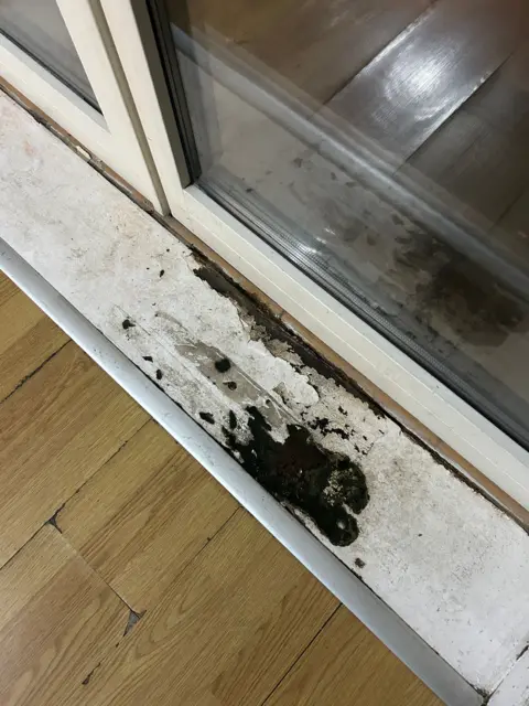 BBC Images White floorboards with dark staining and discolouration. There is wooden flooring up until the floorboards and a see-through glass door which allows entry into the garden.