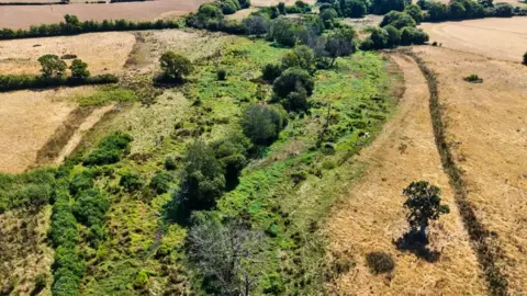The National Trust/PA An aerial shot shows a stretch of green and lush looking land, surrounded by bare, brown fields. 